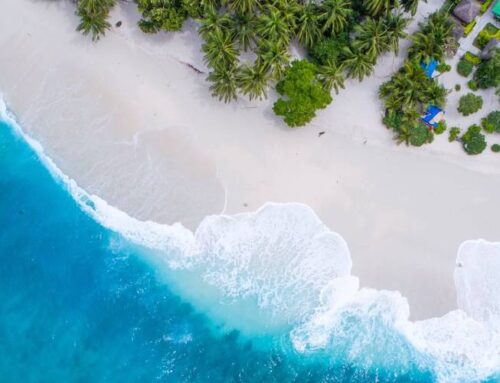 Things to do in Puerto Rico